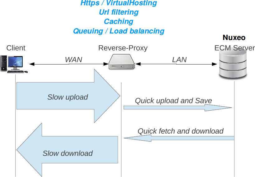 Reverse Proxy Nuxeo Documentation