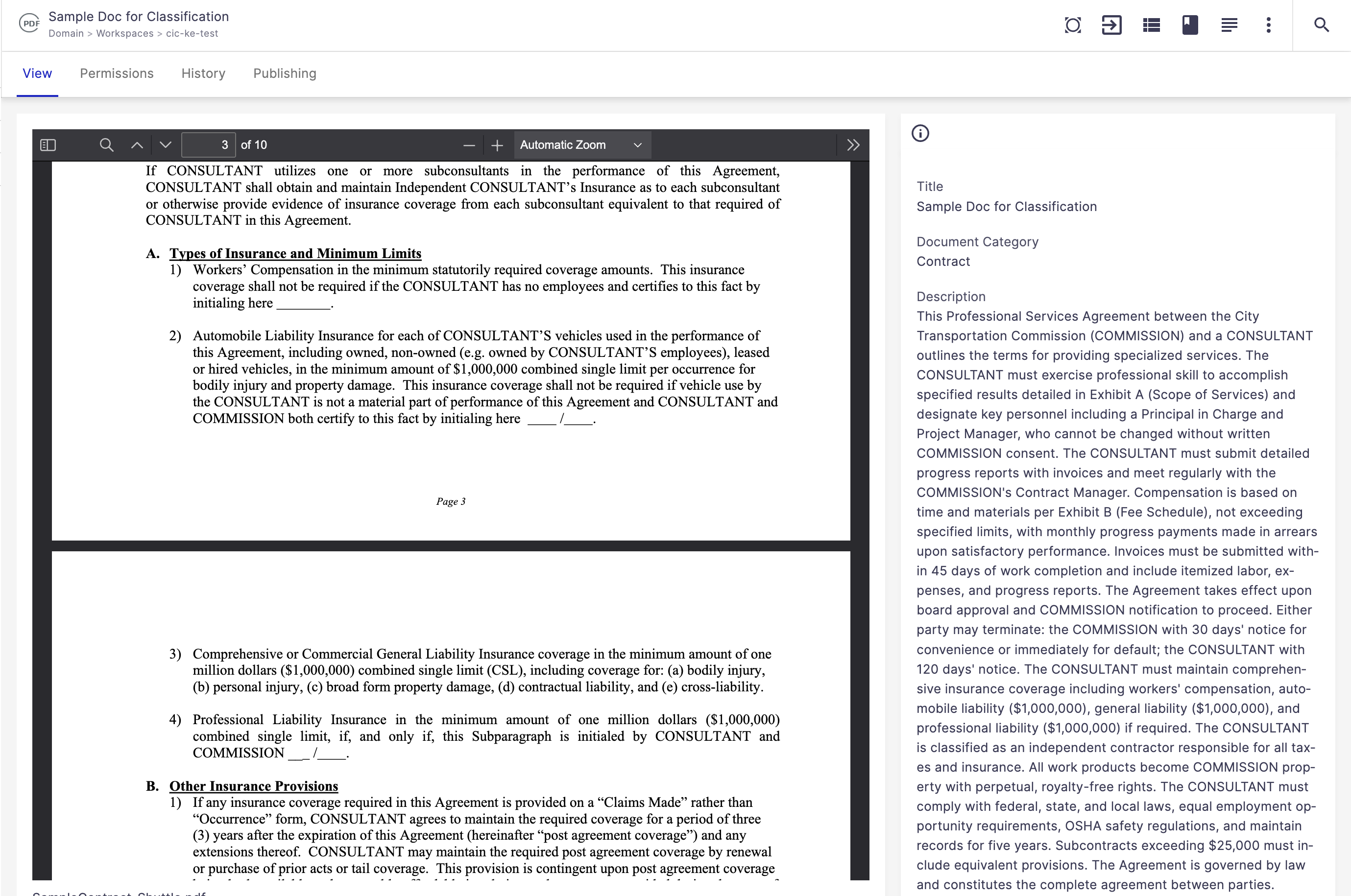 Screenshot showing the 'Summarize Document' button and the populated Description field
