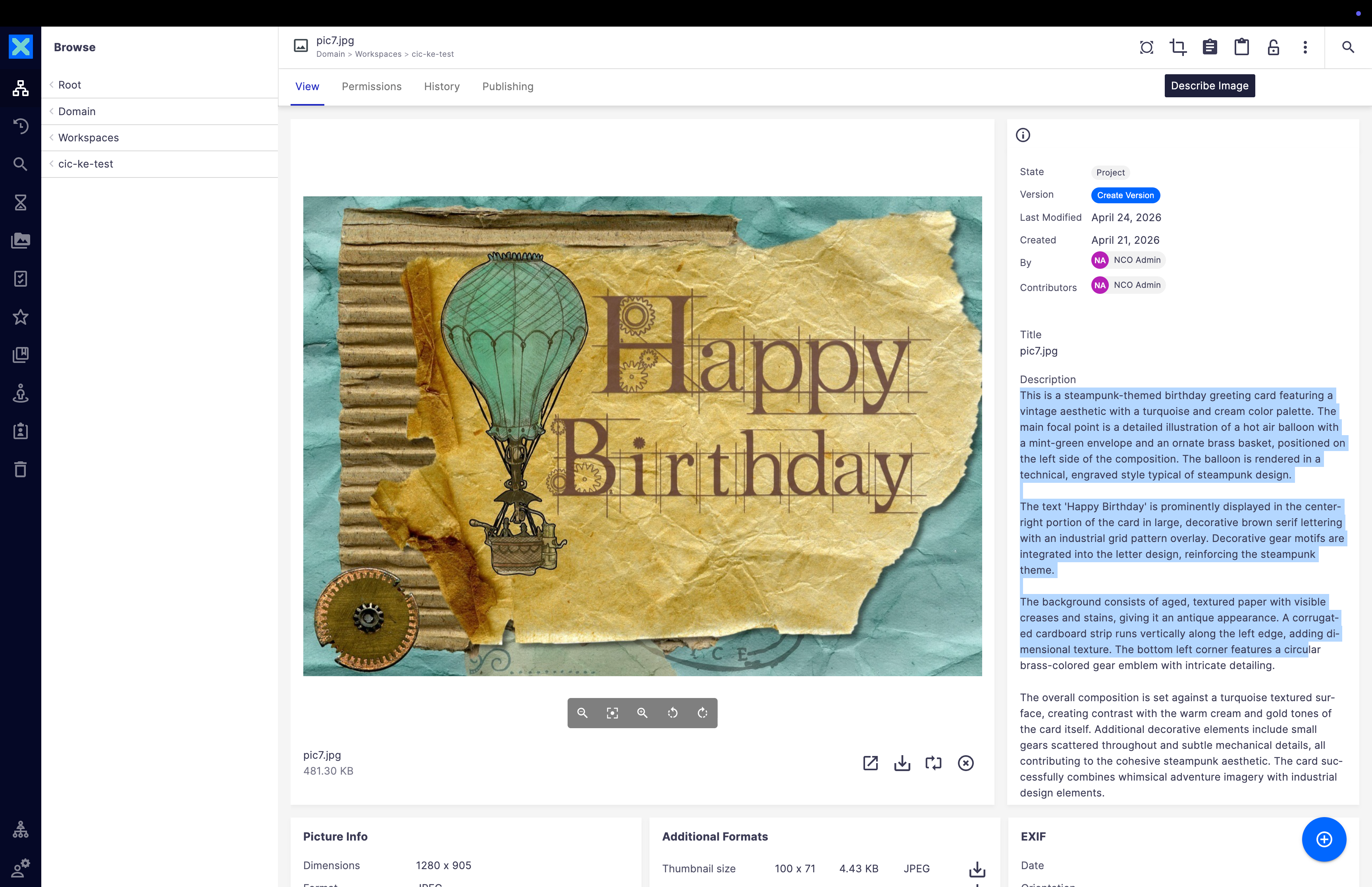 Screenshot showing the 'Describe Image' button and the resulting image metadata and tags